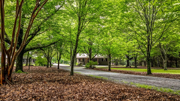 Cabins (United States of America, Mentone, Alabama)