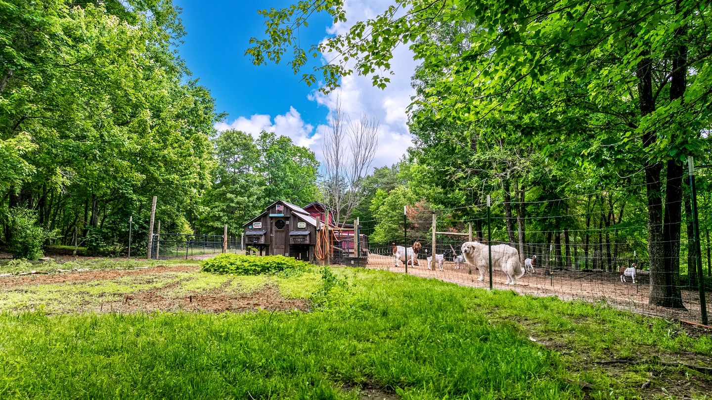 Serene Countryside Cabin Surrounded by Nature in Mentone, Alabama