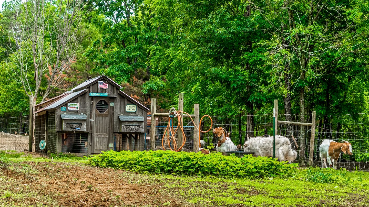 Serene Countryside Cabin Surrounded by Nature in Mentone, Alabama