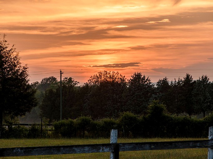 Cottages (Louisa, Virginia, United States)