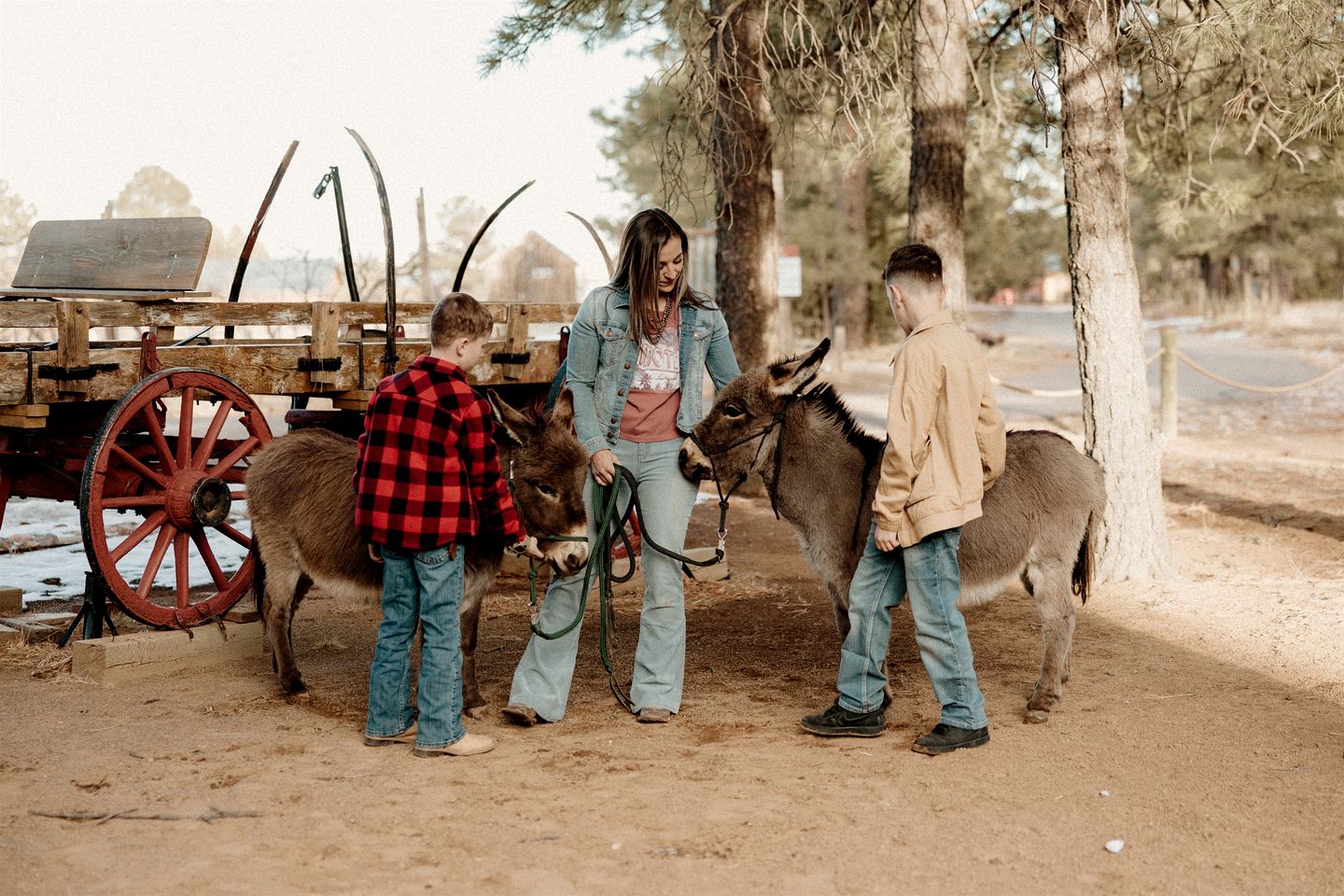 Serene Glamping Retreat with Apple Orchards and Farm Animals near Quarai Ruins in Torreon, New Mexico
