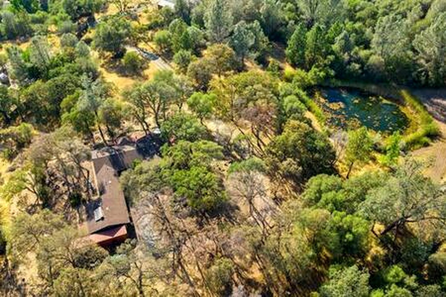 Your Perfect Getaway in Rough and Ready, CA