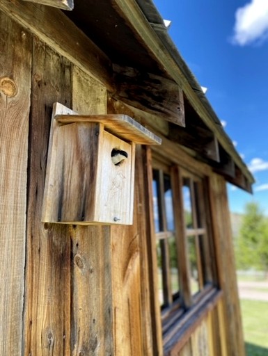 Cabins (United States of America, Ennis, Montana)