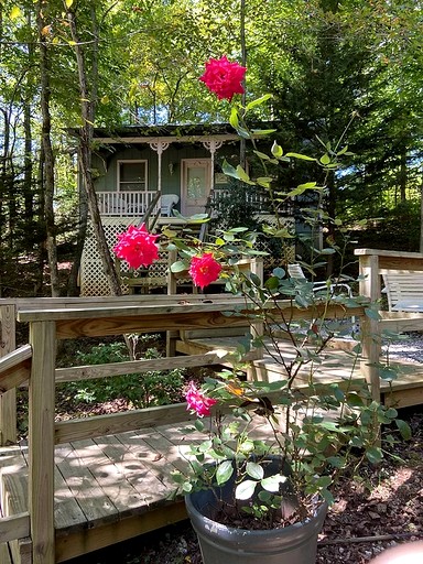 Cottages (United States of America, Blairsville, Georgia)