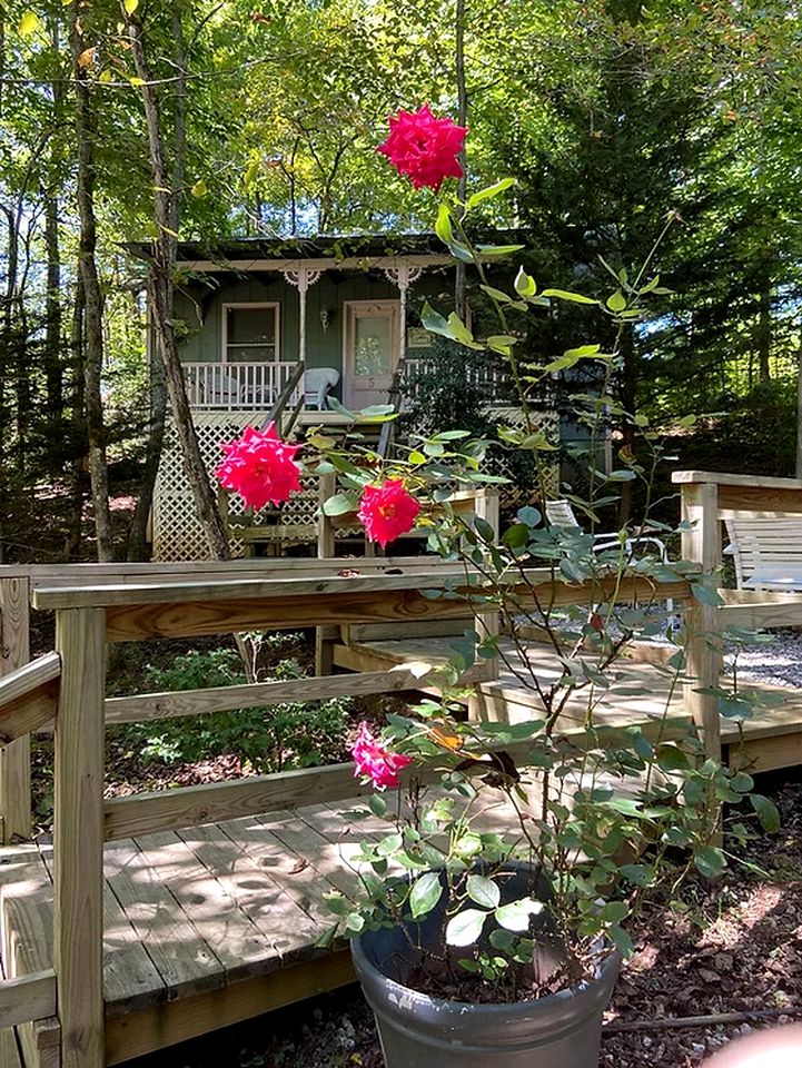 Serene and Pet Friendly Woodland Cottage, Nestled in the Blue Ridge Mountains of Georgia