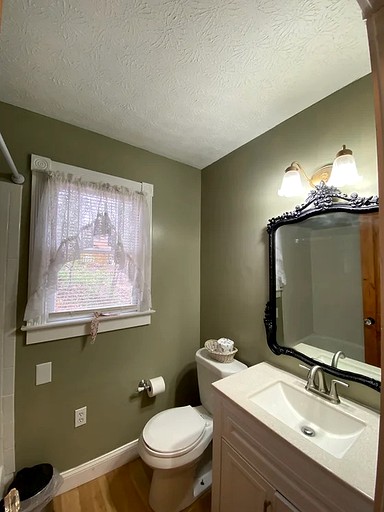 Cottages (United States of America, Blairsville, Georgia)