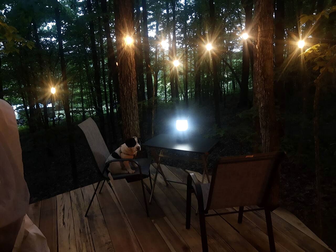 Whimsical Forest Safari Tent Haven Near Laurel Creek, Tennessee