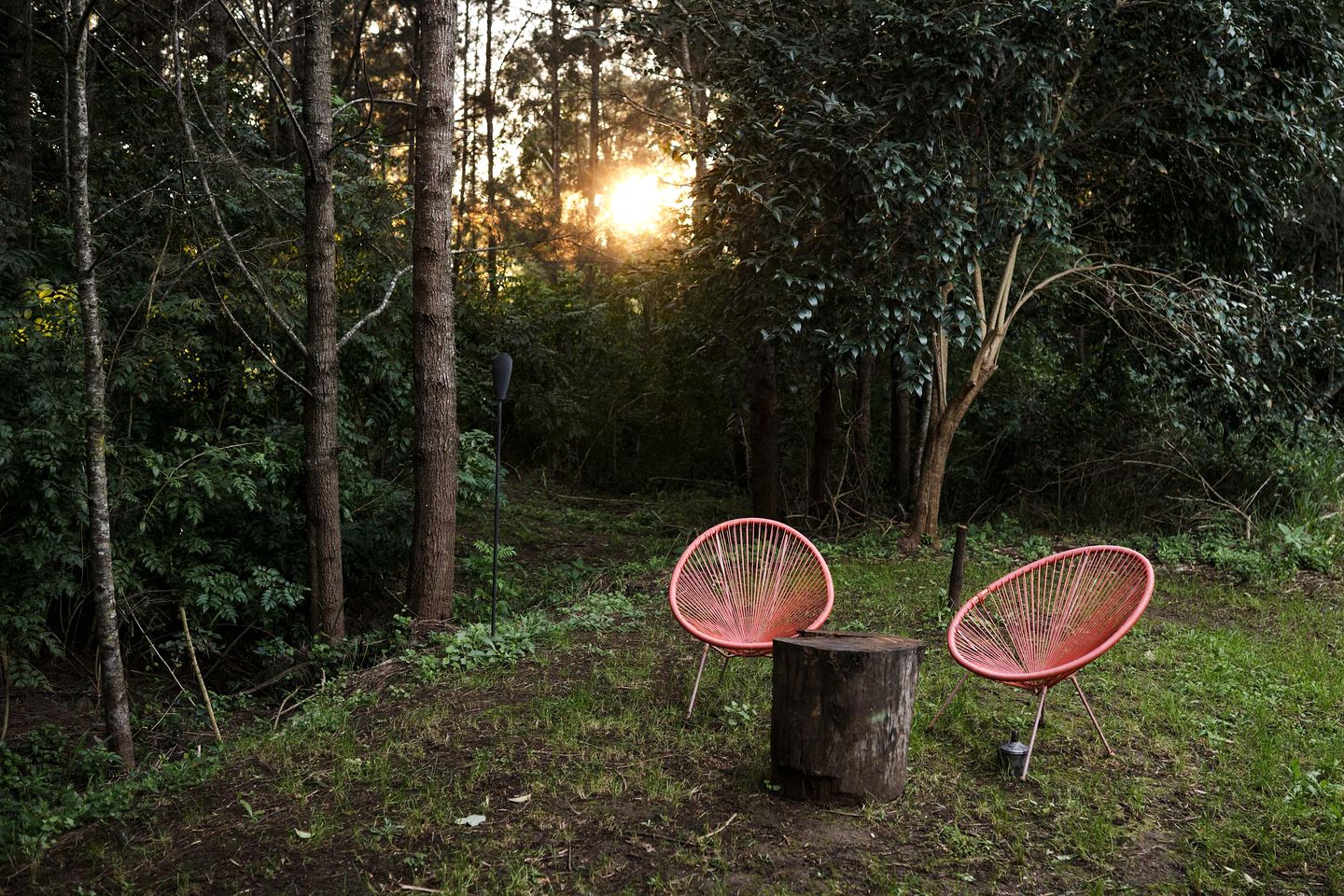 Serene Tiny Home Farm Stay with Creek Views near Toowoomba, Withcott QLD