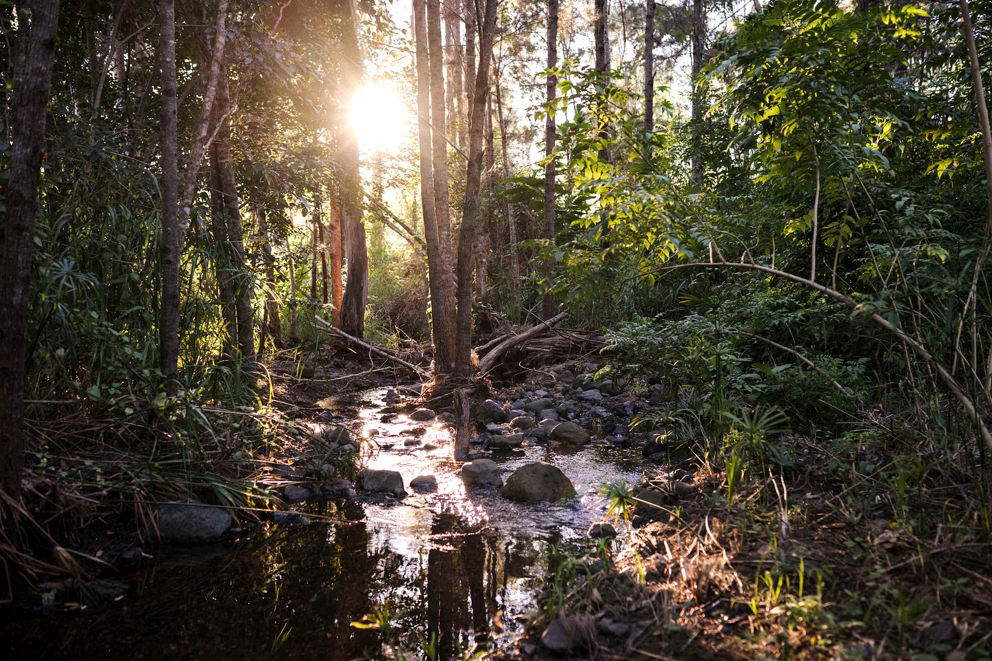 Serene Tiny Home Farm Stay with Creek Views near Toowoomba, Withcott QLD