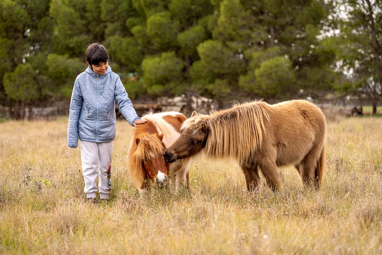 Tiny Houses (Australia, West Wyalong, New South Wales)