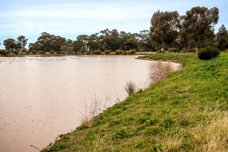Tiny Houses (Australia, West Wyalong, New South Wales)
