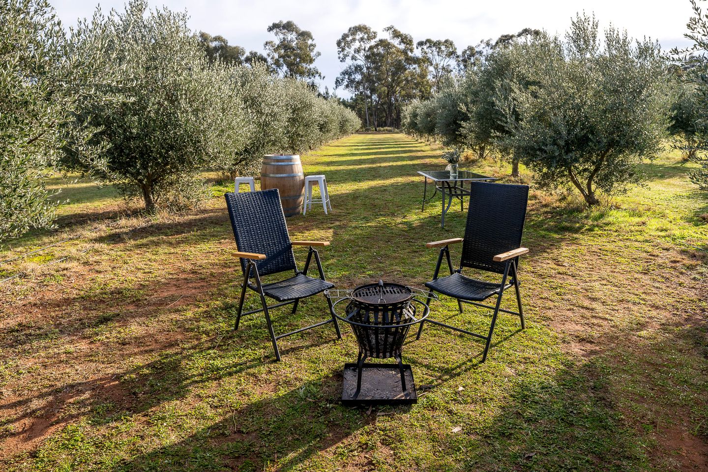 Serene Tiny House with Amazing Countryside Landscapes in New South Wales