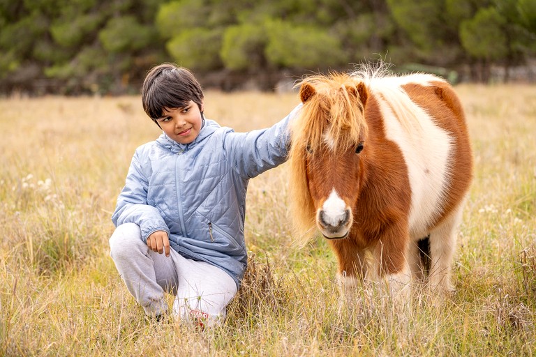 Tiny Houses (Australia, West Wyalong, New South Wales)