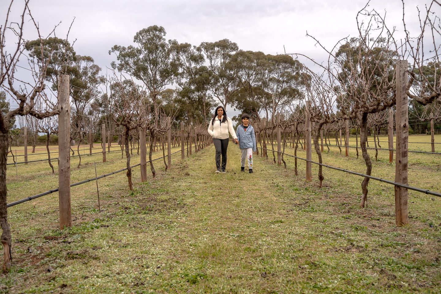 Serene Tiny House with Amazing Countryside Landscapes in New South Wales