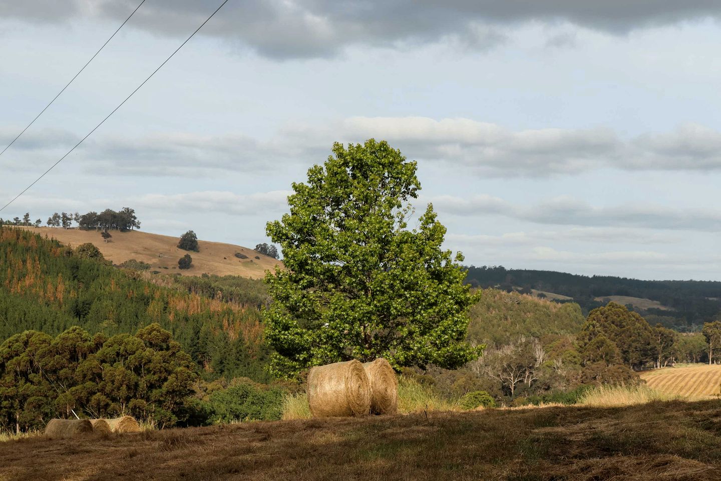 Serene Tiny House Beautiful Countryside and Sunsets in Western Australia