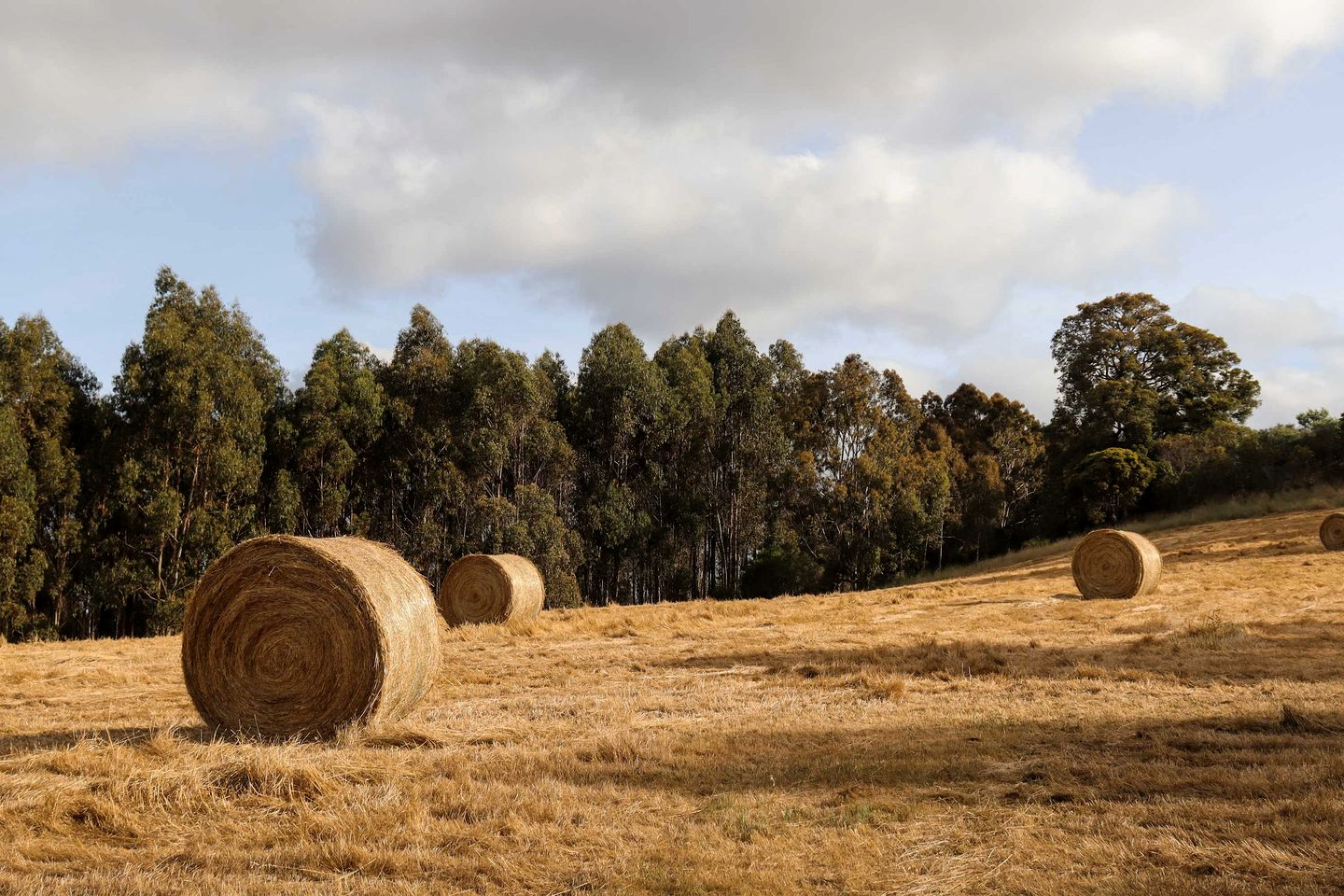 Serene Tiny House Beautiful Countryside and Sunsets in Western Australia
