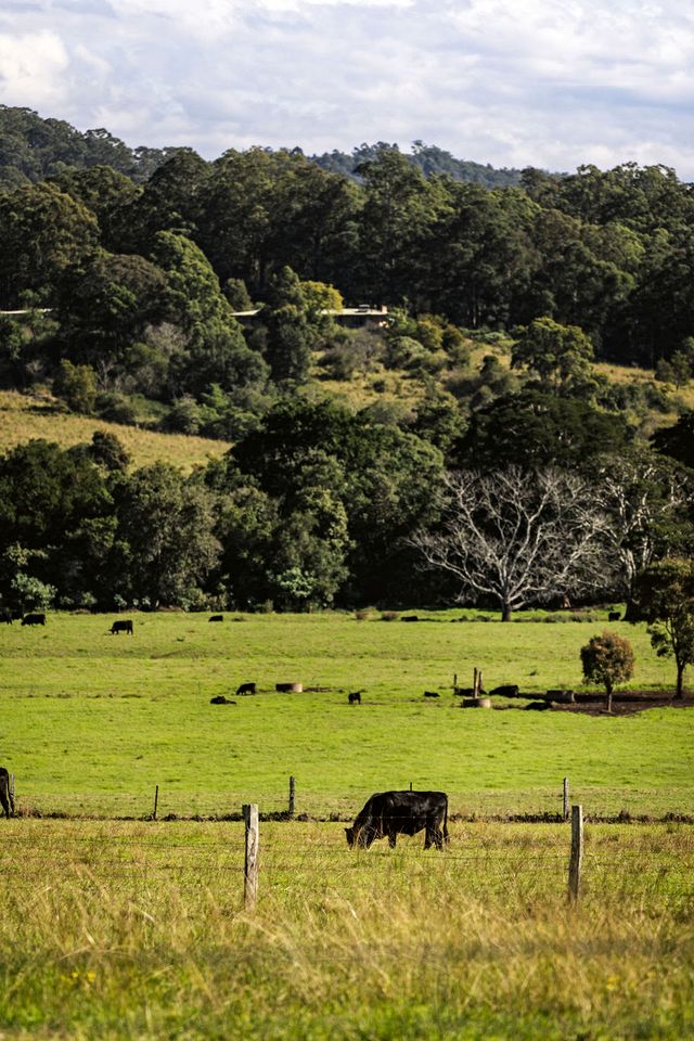 Serene Tiny House Incredible for Hiking Trails in Huntingdon, New South Wales