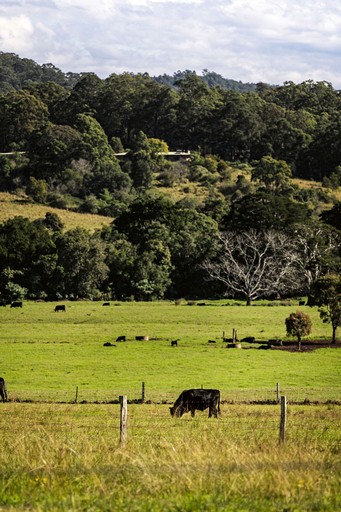 Tiny Houses (Australia, Huntingdon, New South Wales)
