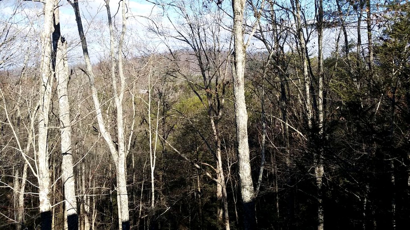 Spectacular Woodland Cabin near Smoky Mountains in Sevierville, Tennessee