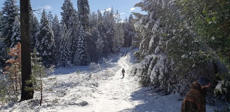 Cabins (Nevada City, California, United States)