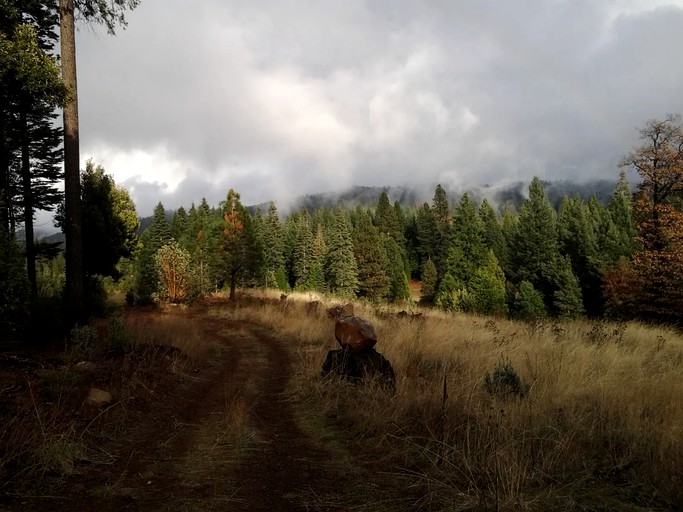 Cabins (Nevada City, California, United States)