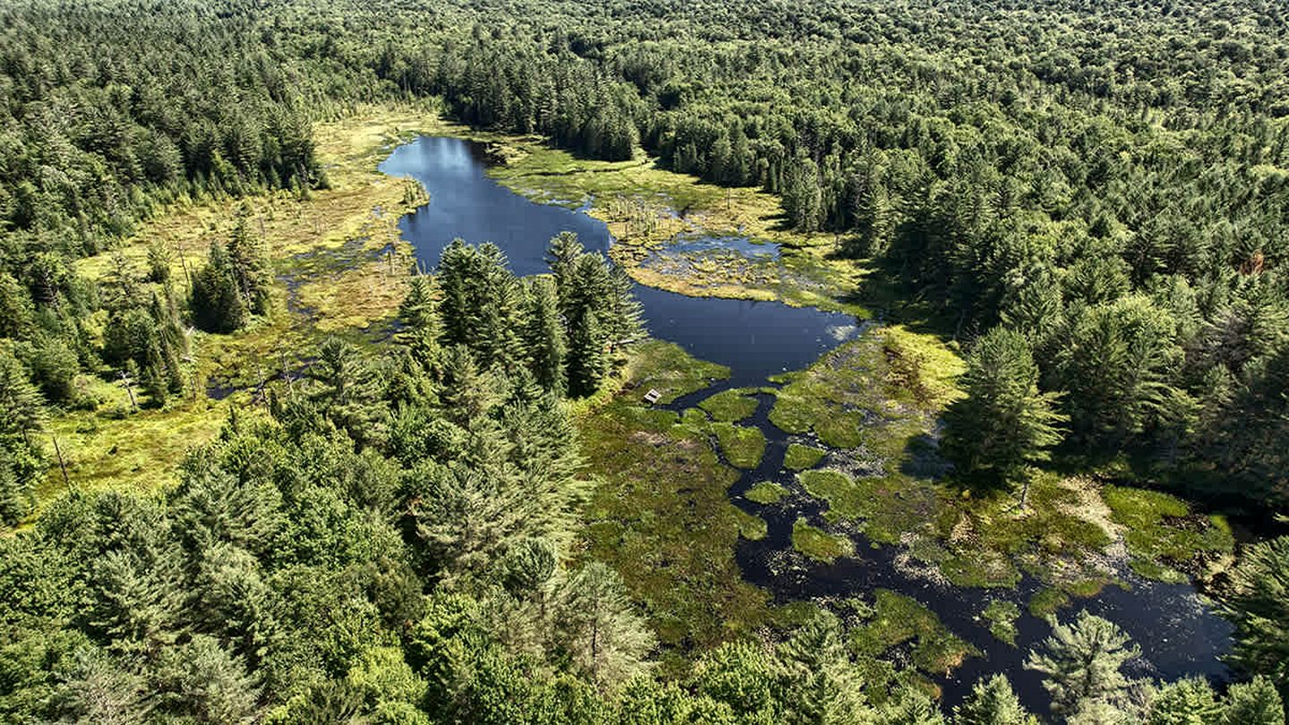 Secluded Luxury Dome with Private Pond & Kayaks near Tug Hill Vineyards, Upstate NY