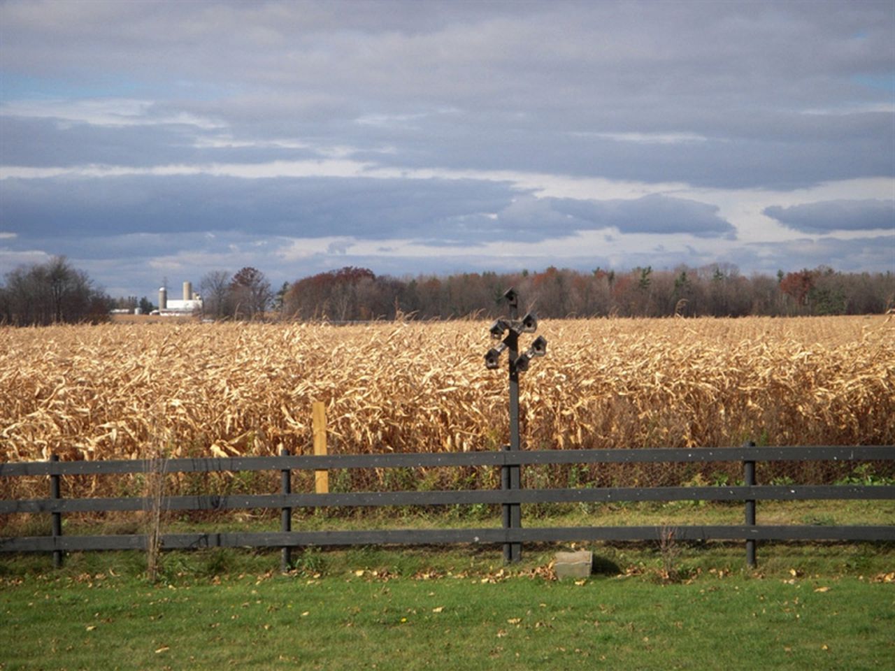 Elegant Getaway with Peaceful Farm Views at Bed and Breakfast in Ancaster, Ontario
