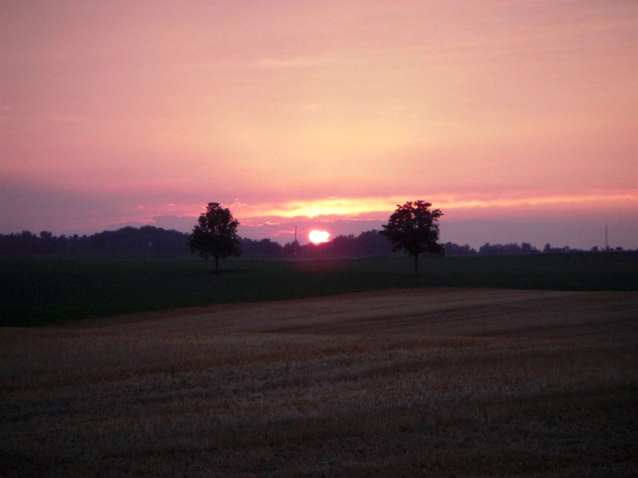 Romantic Bed and Breakfast and Ranch near Niagara Falls in Ancaster, Ontario