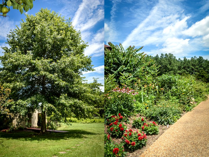 Nature Lodges (Madison, Virginia, United States)