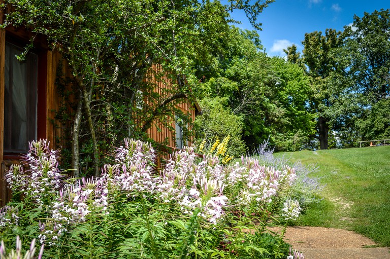 Nature Lodges (Madison, Virginia, United States)