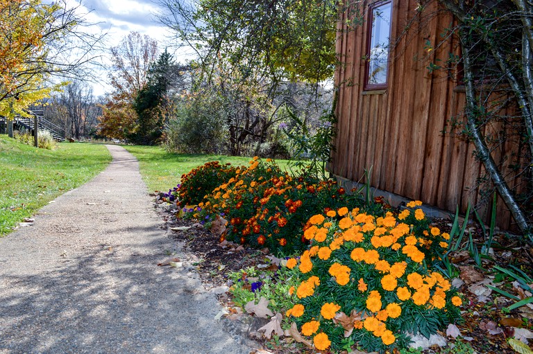 Nature Lodges (Madison, Virginia, United States)