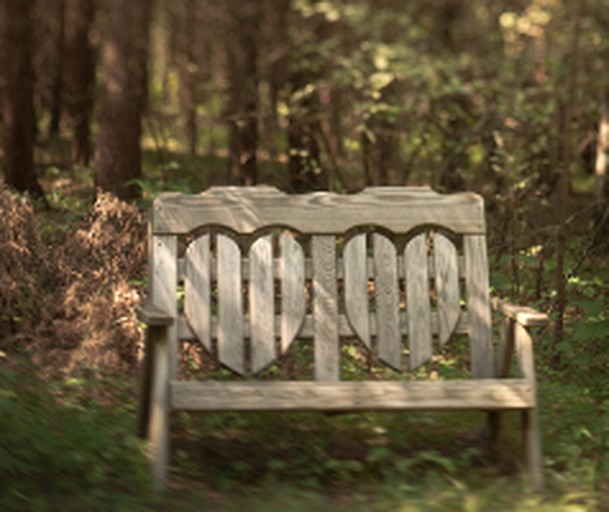 Cabins (Madison, Virginia, United States)