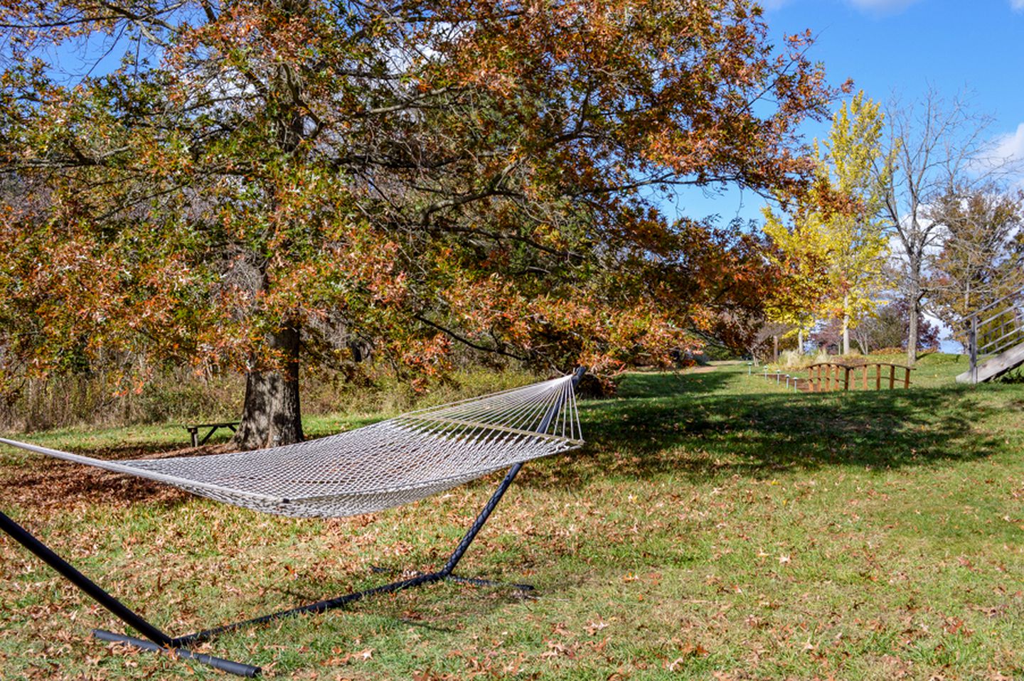 Secluded and Peaceful Cabin Rental in Madison, Virginia