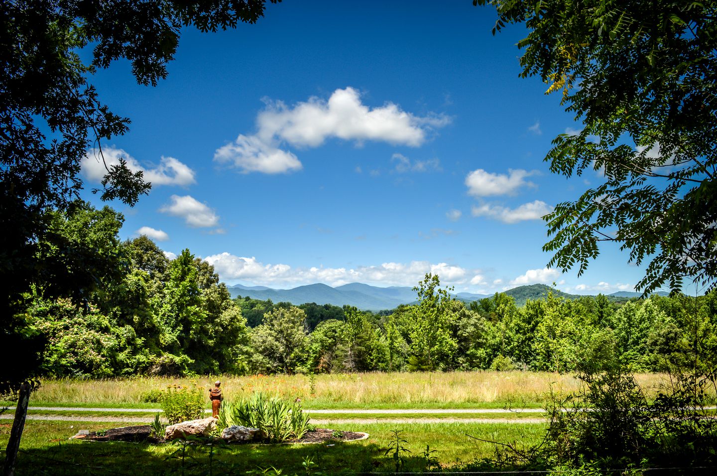 Secluded and Peaceful Cabin Rental in Madison, Virginia