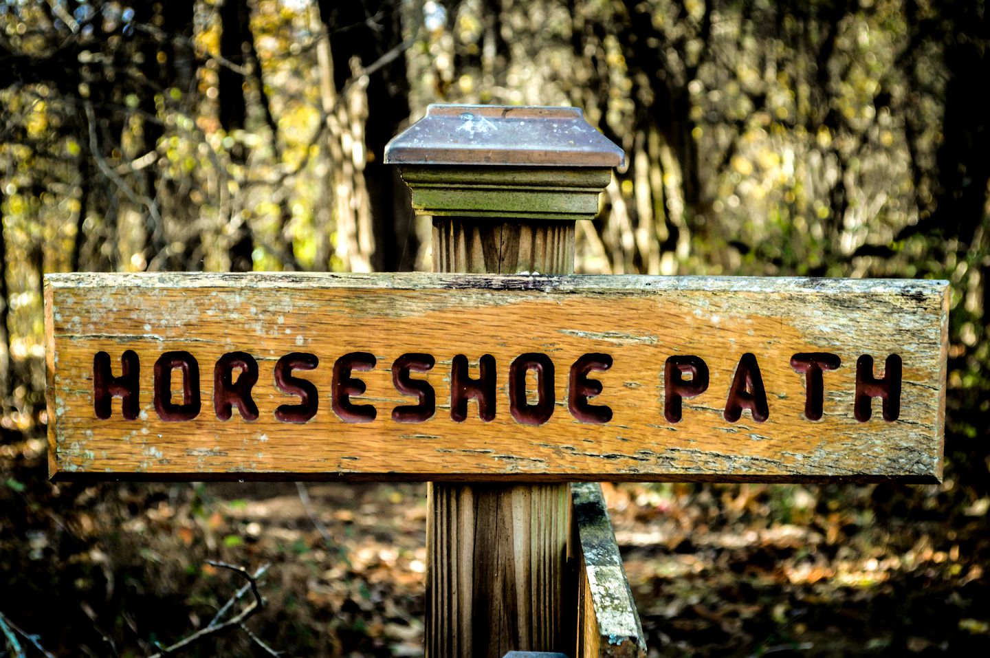 Unique Getaway in a Beautiful Yoga Retreat close to Williamsburg, Virginia