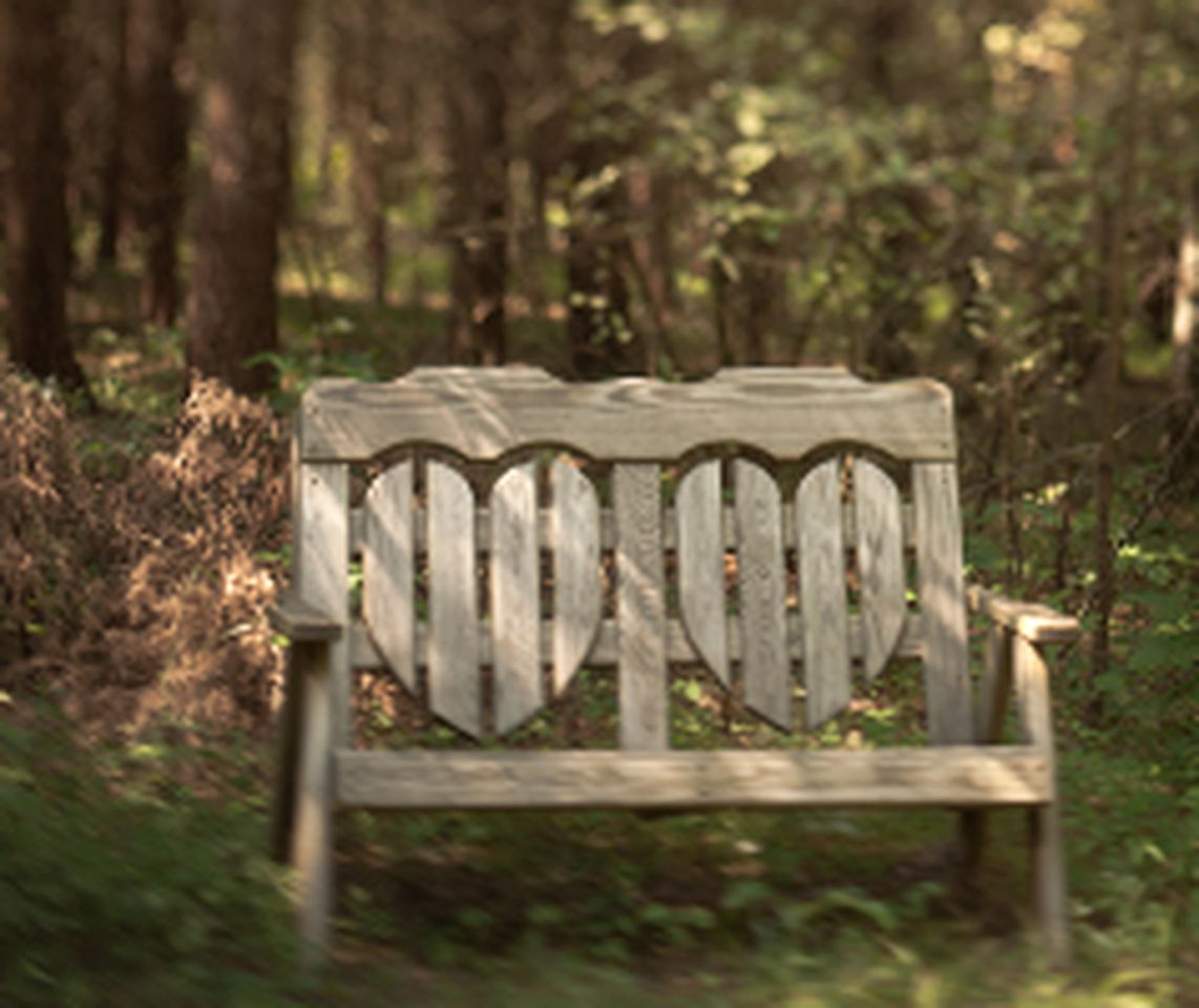 Cozy Cabin for a Yoga Retreat just Outside of Charlottesville, Virginia