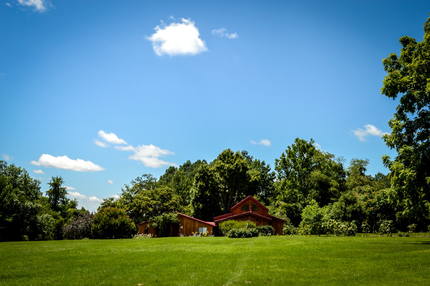 Cozy Cabin for a Yoga Retreat just Outside of Charlottesville, Virginia