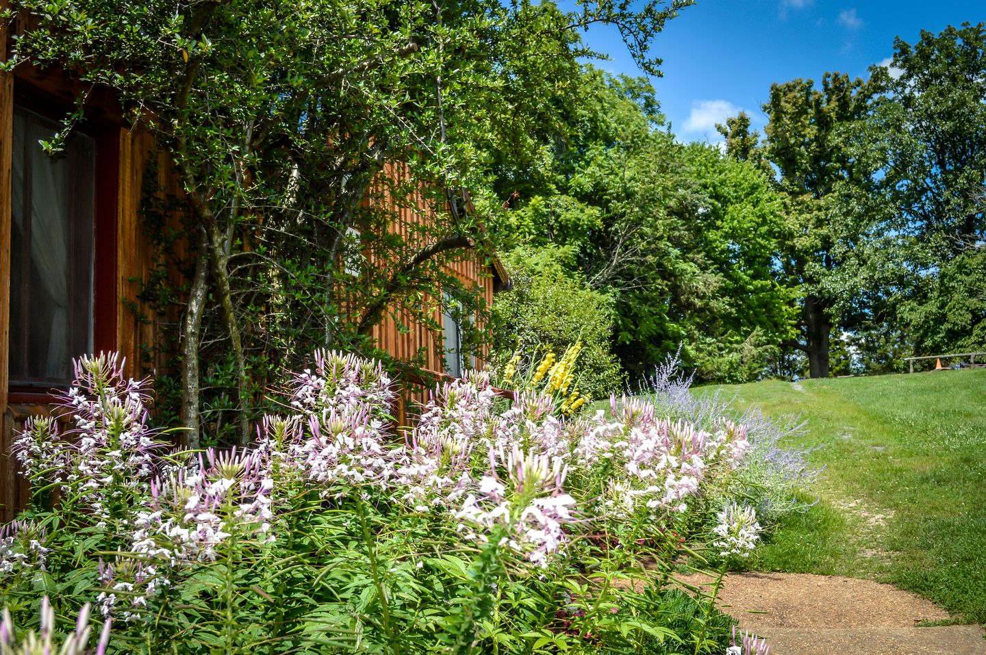 Cozy Cabin for a Yoga Retreat just Outside of Charlottesville, Virginia