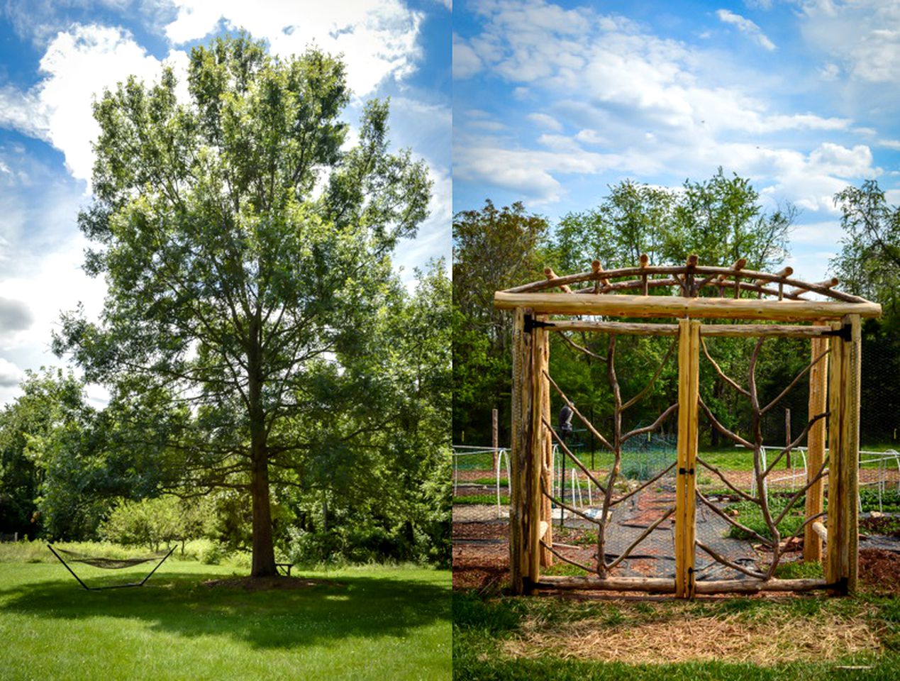 Charming and Secluded Woodland Cottage Rental near the Shenandoah Valley, Virginia