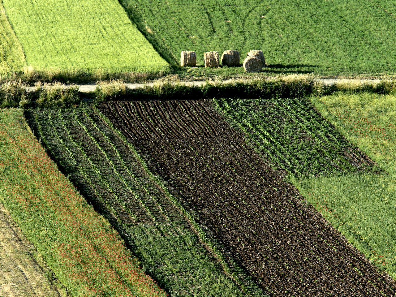 Roomy Luxury Suite Accommodation with Cozy Fireplace near Pescara, Italy