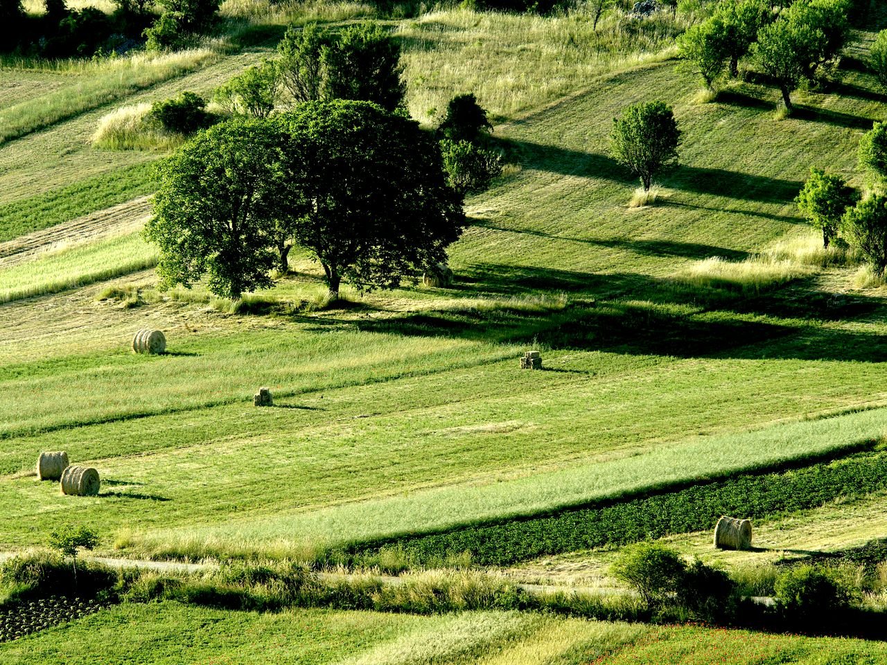 Family-Friendly Vacation Rental in Abruzzo Countryside of Southern Italy