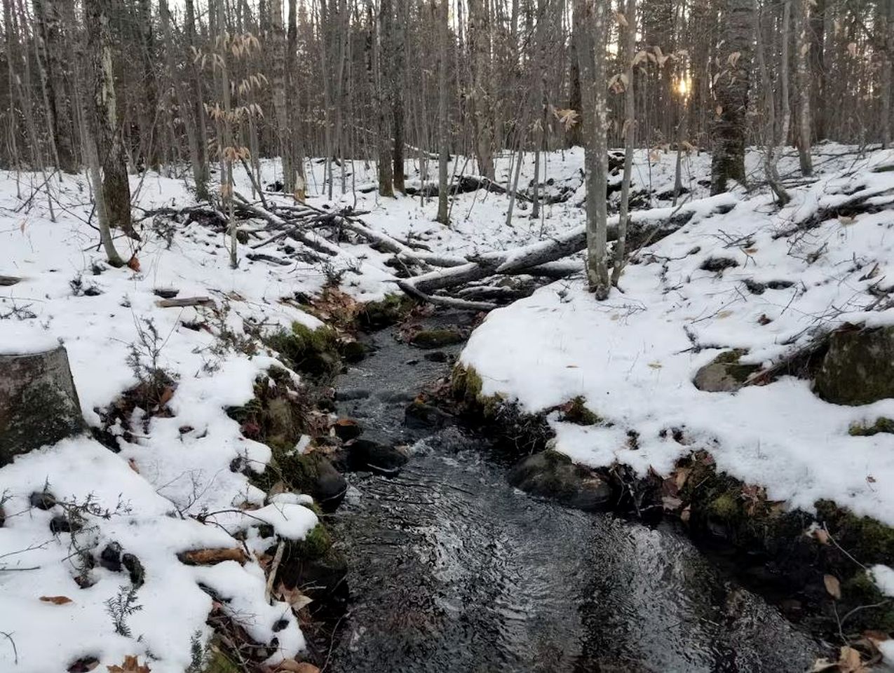 Glamping in Saint-Damien, Quebec, in this Cozy Cabin in the Woods