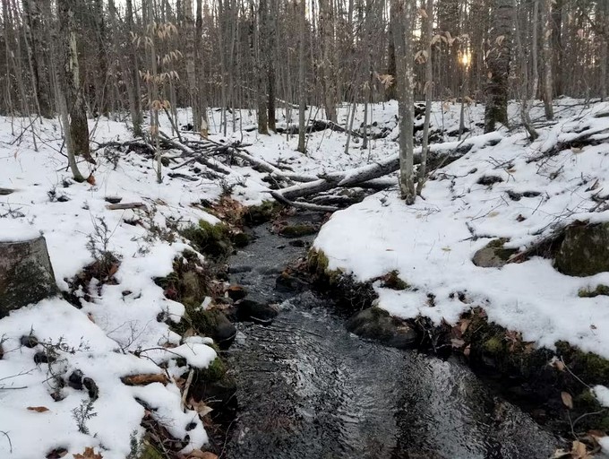 Glamping in Saint-Damien, Quebec, in this Cozy Cabin in the Woods | Cabins (Saint-Damien, Quebec, Canada)