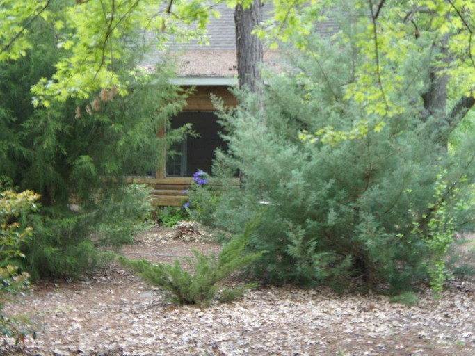 Cabins (Tifton, Georgia, United States)