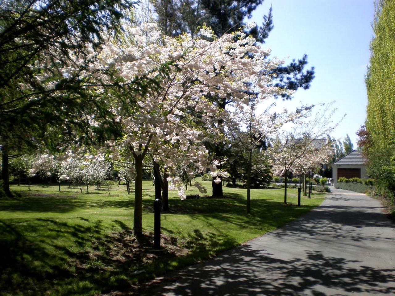 Romantic Bed and Breakfast with Gorgeous Gardens in Christchurch, South Island