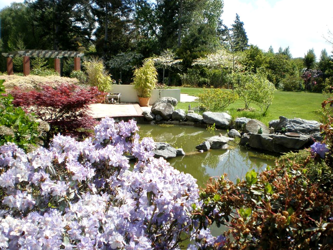 Secluded Bed and Breakfast in Beautiful Christchurch, South Island