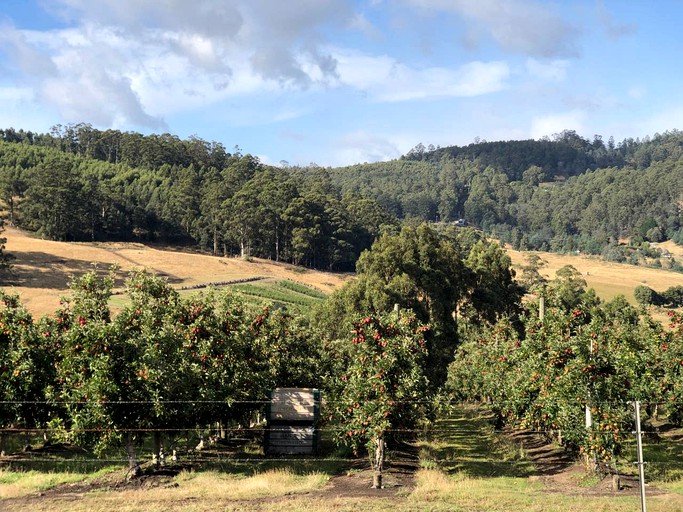 Cabins (Glendevie, Tasmania, Australia)