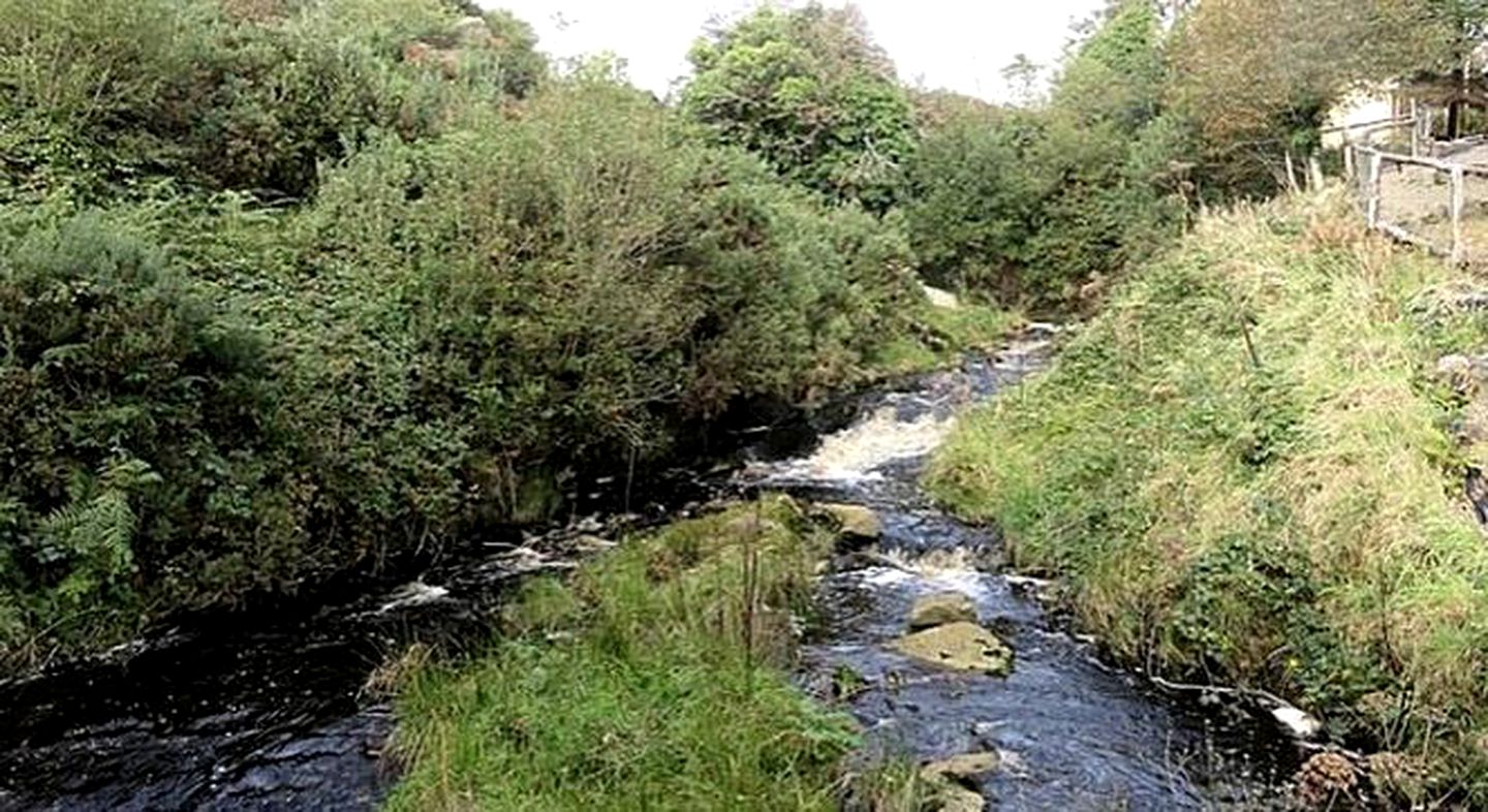 Fabulous Wooden Pod Rentals for a Glamping Getaway near Labasheeda, Ireland