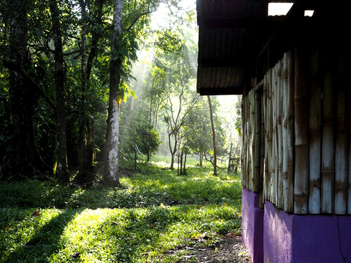 Huts (Golfito, Puntarenas, Costa Rica)