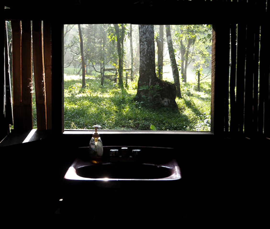 Jungle Hut in Tropical Gardens for Glamping in Costa Rica